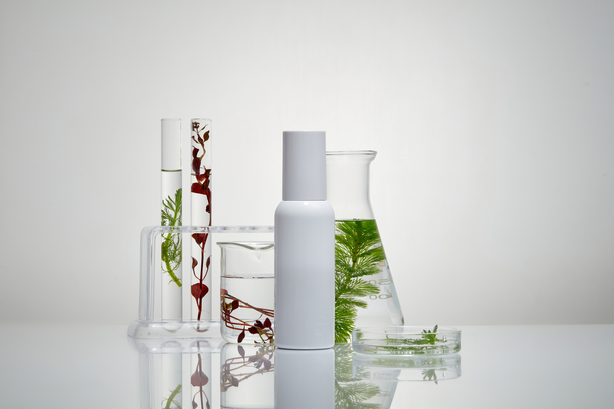 Algae Bioretinol: Gentle Skincare Alternative