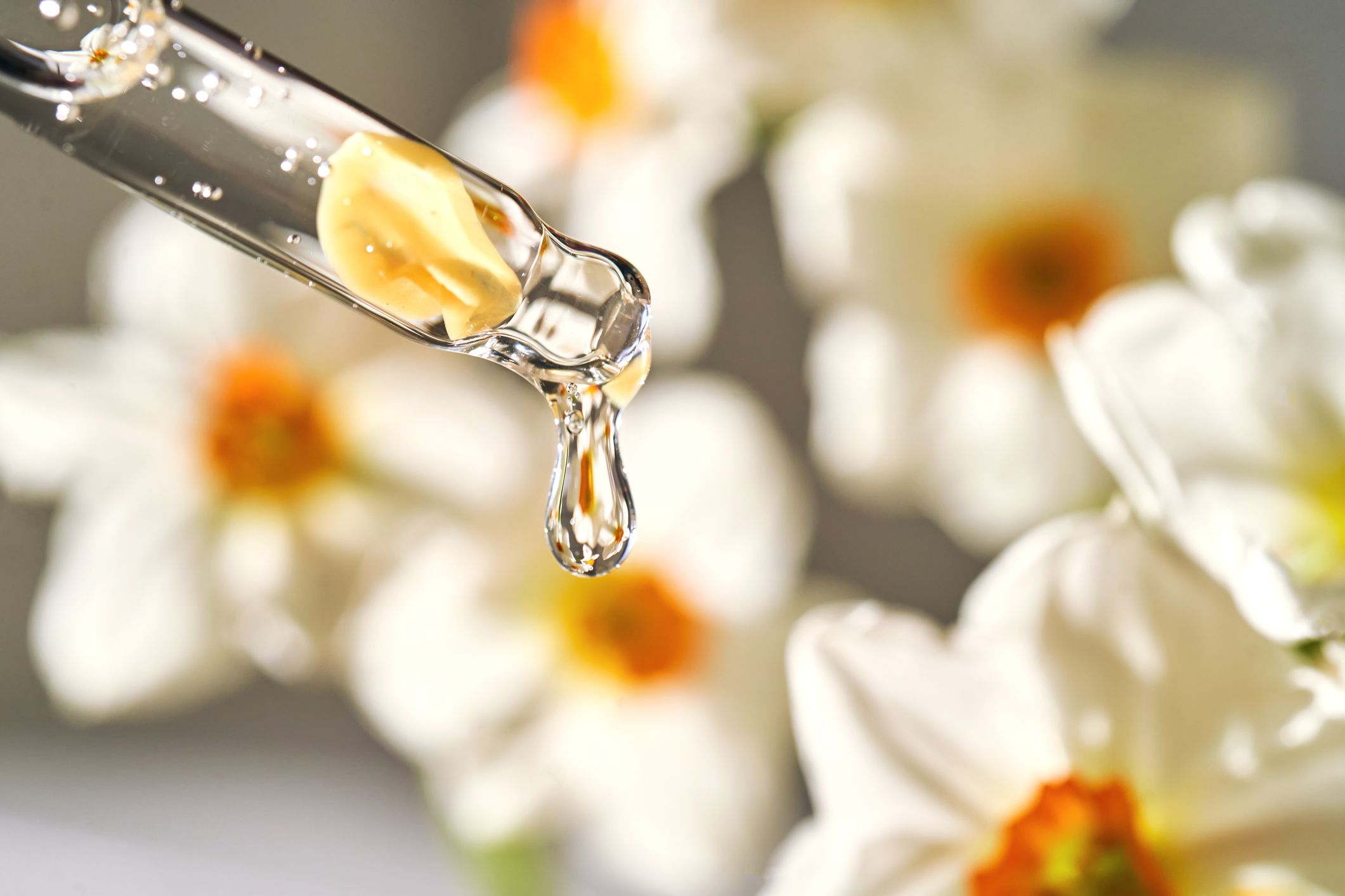 Top Rated & Best Selling Eyebrow Growth Serums