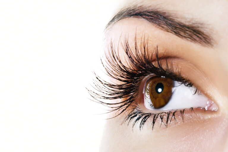 Lash & Eyebow Trends