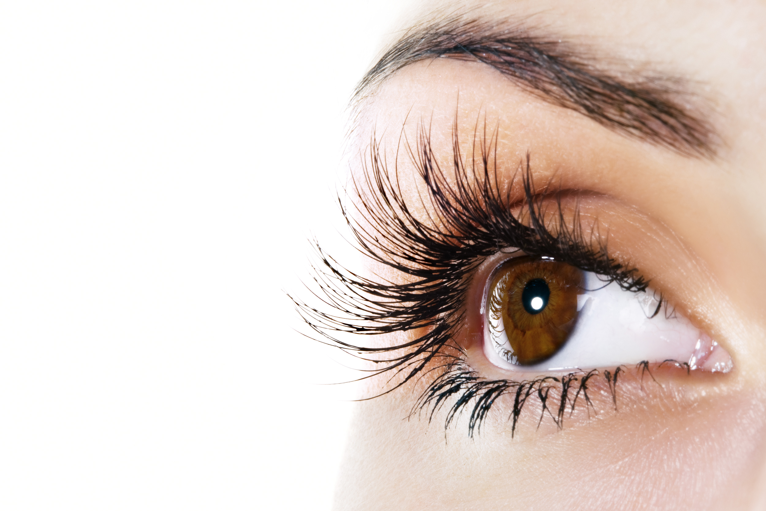 Lash & Eyebow Trends Lash & Eyebow Trends